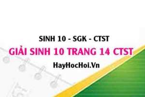 Giải Sinh 10 trang 14 Chân trời sáng tạo SGK